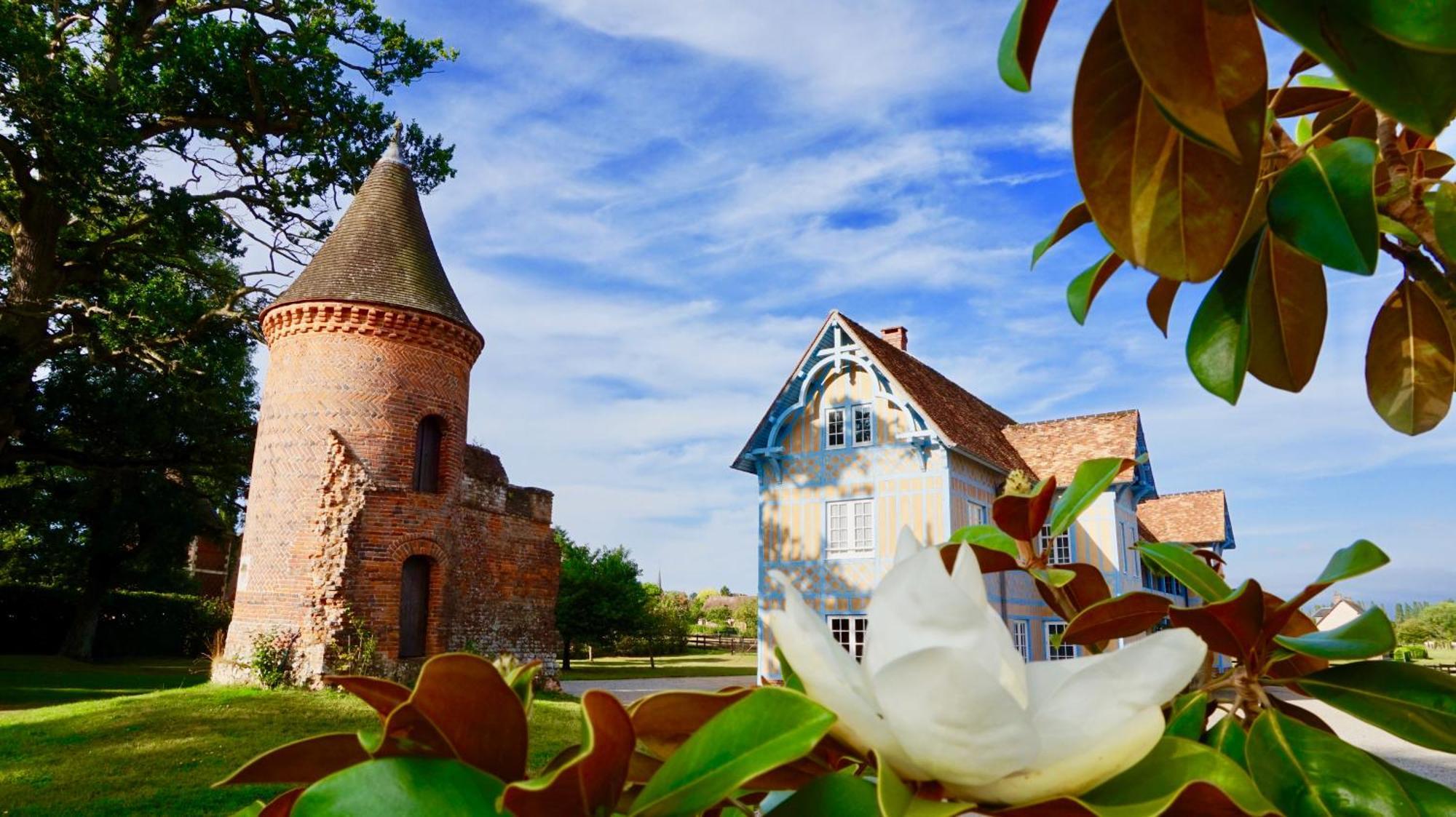 Chateau De Tilly Boissey-le-Chatel Bagian luar foto