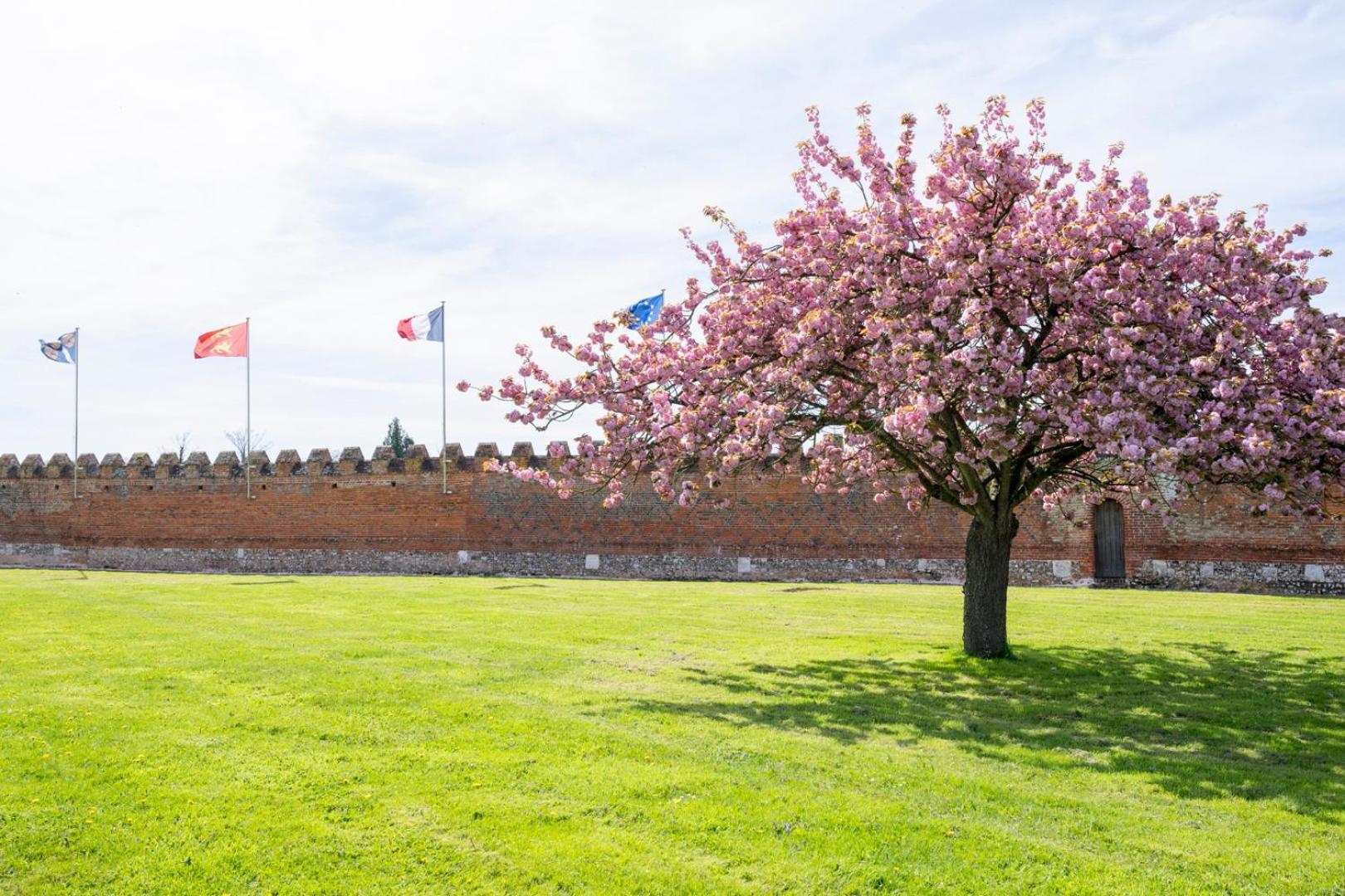 Chateau De Tilly Boissey-le-Chatel Bagian luar foto